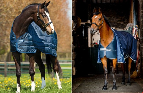 Waarom een paardendeken in de lente?